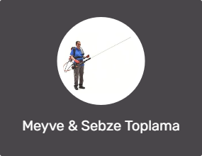Meyve & Sebze Toplama Makinesi