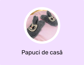 Papuci de casă