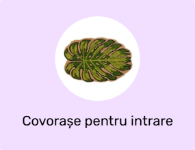 Covorașe pentru intrare