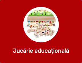 Jucărie educațională