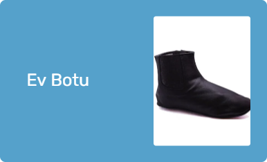 Ev Botu