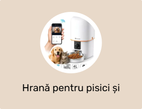 Hrană pentru pisici și recipiente pentru apă