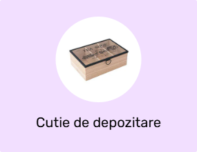 Cutie de depozitare