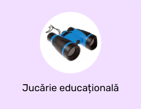 Jucărie educațională