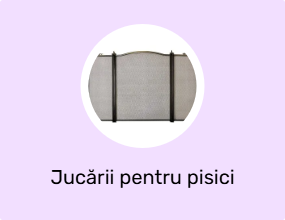Jucării pentru pisici