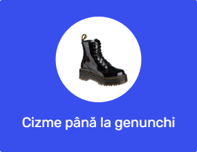 Cizme până la genunchi