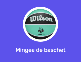 Mingea de baschet