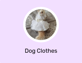Dog Clothes
