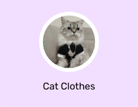 Cat Clothes