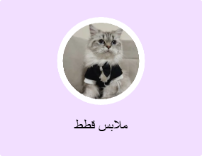 ملابس قطط