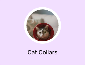 Cat Collars