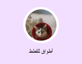 أطواق للقطط