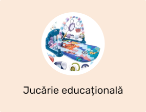 Jucărie educațională
