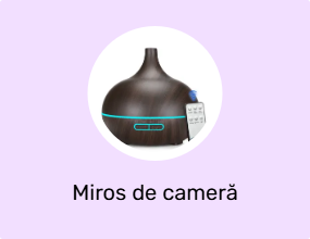 Miros de cameră