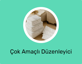 Çok Amaçlı Düzenleyici