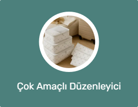 Çok Amaçlı Düzenleyici