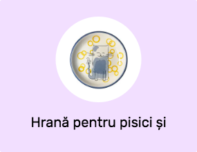 Hrană pentru pisici și recipiente pentru apă
