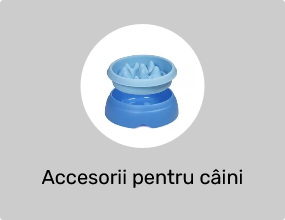 Accesorii pentru câini