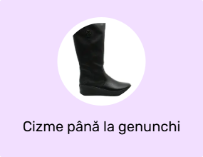 Cizme până la genunchi