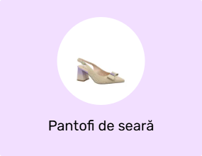 Pantofi de seară