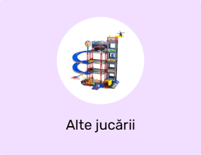 Alte jucării