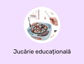 Jucărie educațională