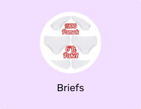 Briefs