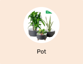 Pot