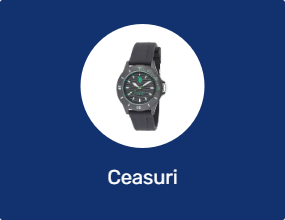 Ceasuri