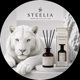 STEELİAHOME