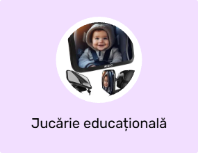 Jucărie educațională