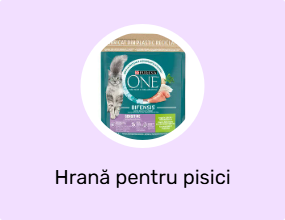 Hrană pentru pisici