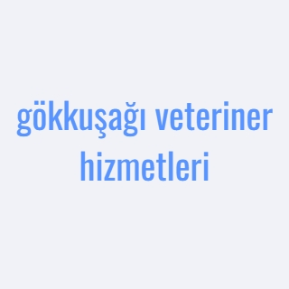 gökkuşağı veteriner hizmetleri