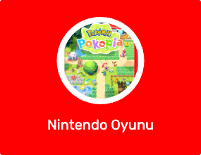 Nintendo Oyunu