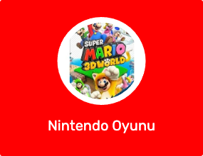 Nintendo Oyunu