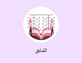 الشانق