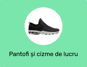 Pantofi și cizme de lucru