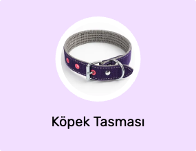 Köpek Tasması