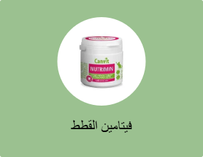 فيتامين القطط