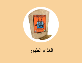 الغذاء الطيور
