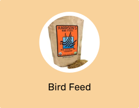 Bird Feed