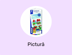 Pictură