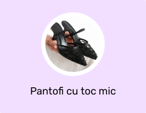 Pantofi cu toc mic
