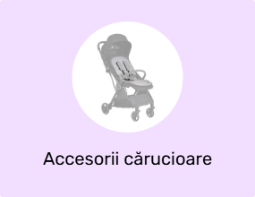 Accesorii cărucioare
