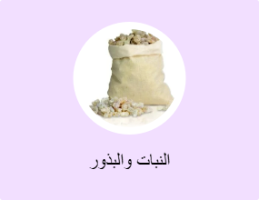 النبات والبذور