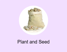 Plant and Seed
