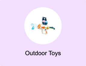 Outdoor Toys