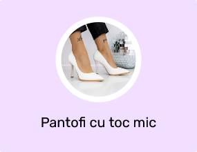 Pantofi cu toc mic