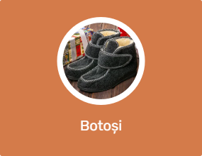 Botoși