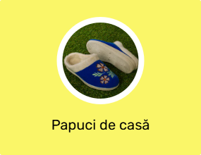 Papuci de casă
